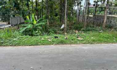 tanah super datar 700m 225jt kedawung sragen