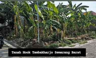 tanah tambakharjo semarang barat