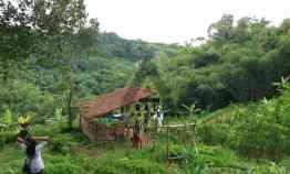 Tanah di Taro Tegallalang Ubud Bali