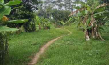 tanah tegal banting harga lingkup perkotaan