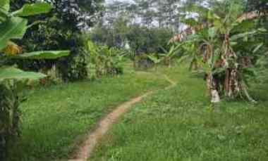 tanah tegal luas dekat dengan jalan raya