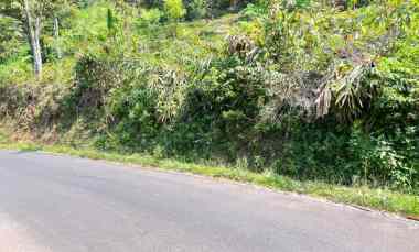 tanah tepi jl dpu 1215m ngargoyoso karanganyar