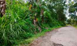 tanah tepi jl dpu kemuning