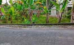 tanah tepi jl dpu tawangmangu