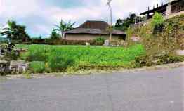 tanah tepi jl raya kemuning