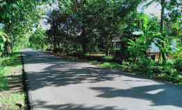 tanah tepi jl raya kerjo sragen