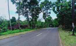 tanah tepi jl raya mojogedang
