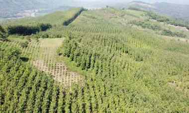 tanah termurah sukabumi full shm 70 hektar