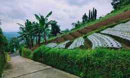 tanah timur bali ndeso kemuning