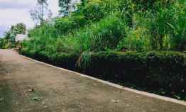 tanah utara pasar mojogedang