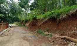 tanah utara pasar mojogedang