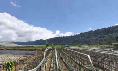 Tanah View Gunung dan Danau dekat Bali Handara Golf