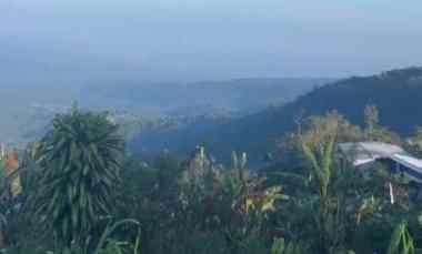 tanah view gunung dan lembah di munduk singaraja bali