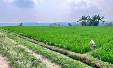 tanah view gunung lawu 1000m karanganyar utara