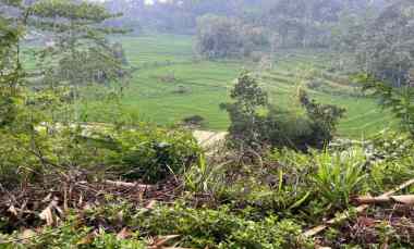 tanah view hamparan sawah siap bangun