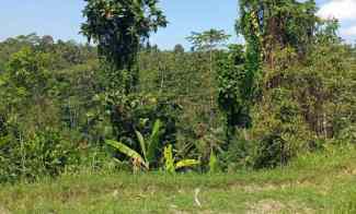 Tanah View Lembah dan Jungle dekat Samsara Resort Ubud Bali