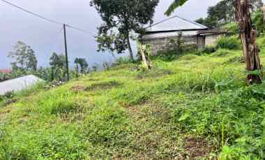 Tanah View Kebun Teh dekat Telaga Madirda Ngargoyoso