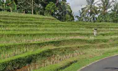 tanah view sawah dan laut di megati tabanan bali
