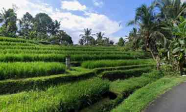 tanah view sawah dan laut di megati tabanan bali