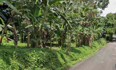 tanah view sawah di tegallalang ubud bali