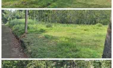 Tanah Dijual di Karangpandan Karanganyar