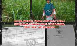 Dijual Murah Tanah Strategis 1249m di Wonosari Gunungkidul Yogyakarta