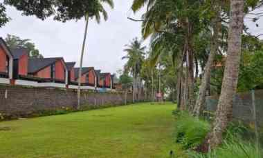 Tanah Yellow Zone di Kedewatan Ubud Bali