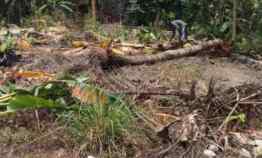 Tanah Yogyakarta, 15 menit RSUD Sleman, LD 16 M