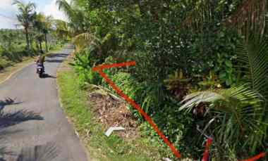 tanah zona kuning dekat pantai soka dan balian bali