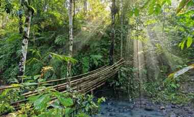 The Best View Land in Bali - For Sale Lease
