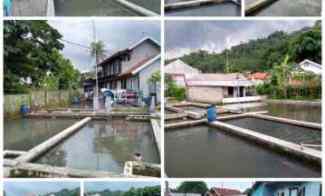 Rumah Kolam Ikan, Cijambe Subang Jawa Barat