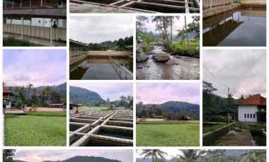 vila kolam ikan cisalak subang jawa barat