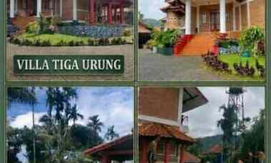 villa 2 lantai nyaman dan asri cisarua bogor