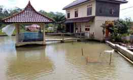 Vila dan Kolam Ikan di Cisalak Subang