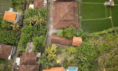 villa with a rice field view