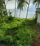 dijual tanah kavling shm