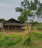 dijual tanah wringinanom gresik