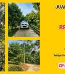 jual kebun durian di bogor